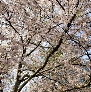 Meet your Posher, Myra